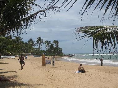 Maison de vacances �/en/au Hikkaduwa-Gonipinuwala (Galle)ou appartement ou maison de vacances