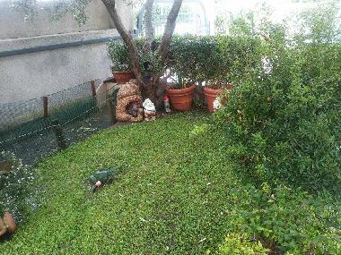 Appartement de vacances /en/au orosei (Nuoro)ou appartement ou maison de vacances