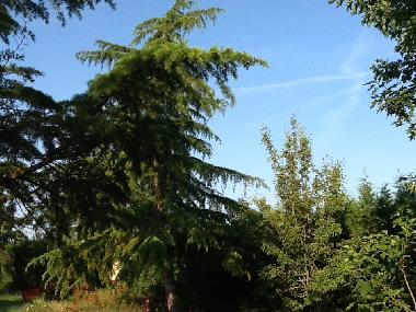 Appartement de vacances �/en/au Brugui�res (Haute-Garonne)ou appartement ou maison de vacances