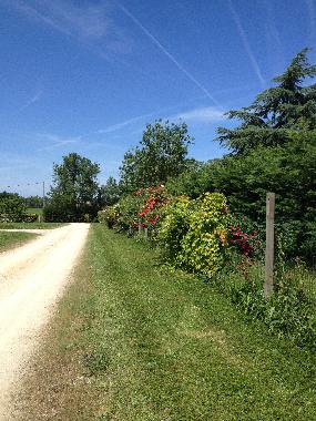 Appartement de vacances �/en/au Brugui�res (Haute-Garonne)ou appartement ou maison de vacances