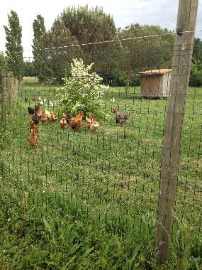 Appartement de vacances �/en/au Brugui�res (Haute-Garonne)ou appartement ou maison de vacances