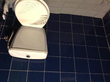 WC DE LA CHAMBRE BLEUE