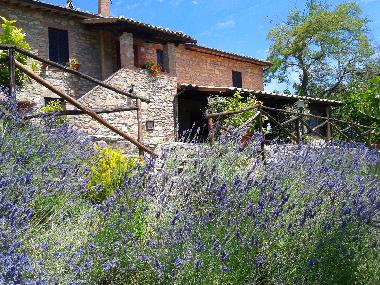 Appartement de vacances /en/au Colonnetta di Prodo Orvieto (Terni)ou appartement ou maison de vacances