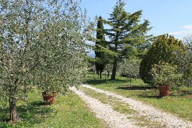 Appartement de vacances /en/au Colonnetta di Prodo Orvieto (Terni)ou appartement ou maison de vacances