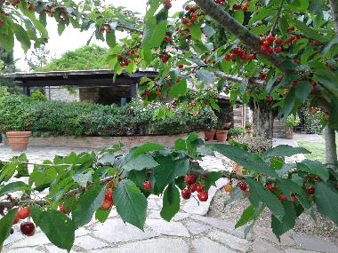 Appartement de vacances /en/au Colonnetta di Prodo Orvieto (Terni)ou appartement ou maison de vacances