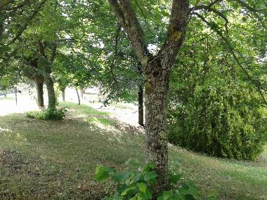 Appartement de vacances /en/au Colonnetta di Prodo Orvieto (Terni)ou appartement ou maison de vacances