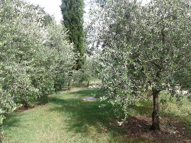 Appartement de vacances /en/au Colonnetta di Prodo Orvieto (Terni)ou appartement ou maison de vacances