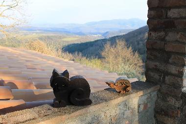 Appartement de vacances /en/au Colonnetta di Prodo Orvieto (Terni)ou appartement ou maison de vacances