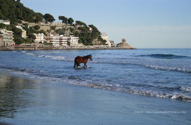 Appartement de vacances /en/au Alassio (Savona)ou appartement ou maison de vacances