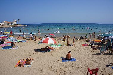 Maison de vacances �/en/au torrevieja (Alicante / Alacant)ou appartement ou maison de vacances