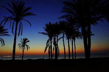 Maison de vacances �/en/au torrevieja (Alicante / Alacant)ou appartement ou maison de vacances