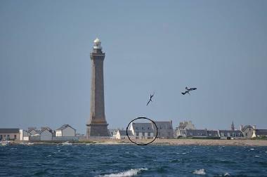 photo prise de la sorti du port