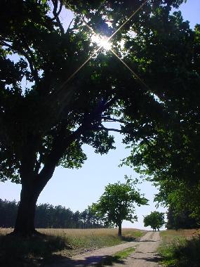 Maison de vacances �/en/au Nuthe-Urstromtal OT Berkenbr�ck (Teltow-Fl�ming)ou appartement ou maison de vacances