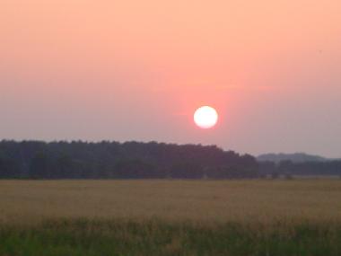 Maison de vacances �/en/au Nuthe-Urstromtal OT Berkenbr�ck (Teltow-Fl�ming)ou appartement ou maison de vacances