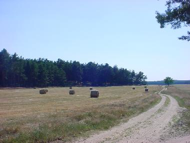 Maison de vacances �/en/au Nuthe-Urstromtal OT Berkenbr�ck (Teltow-Fl�ming)ou appartement ou maison de vacances