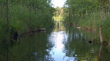 Maison de vacances /en/au Kopanica/Nowinka (Podlaskie)ou appartement ou maison de vacances