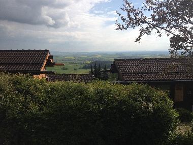 Maison de vacances /en/au Oefingen (Schwarzwald)ou appartement ou maison de vacances