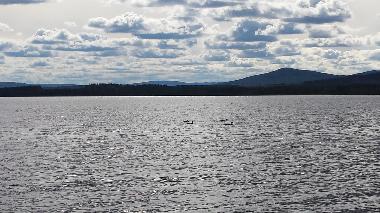 Maison de vacances �/en/au Vidsel (Norrbotten)ou appartement ou maison de vacances