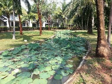 Maison de vacances /en/au Mae Phim (Rayong)ou appartement ou maison de vacances