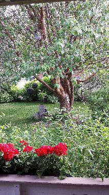 Maison de vacances /en/au Vidsel (Norrbotten)ou appartement ou maison de vacances