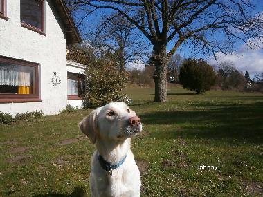Appartement de vacances /en/au Malente-Krummsee (Holsteinische Schweiz)ou appartement ou maison de vacances