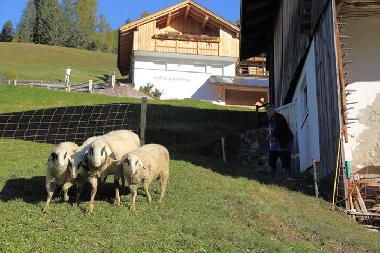 Villa �/en/au  St. Christina in Gr�den (Bolzano-Bozen)ou appartement ou maison de vacances