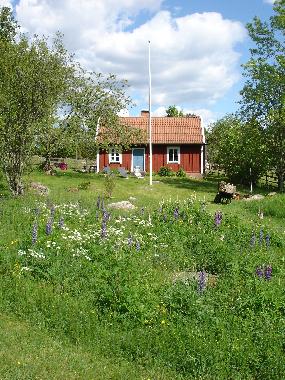 Maison de vacances �/en/au Hultsfred (Smaland)ou appartement ou maison de vacances