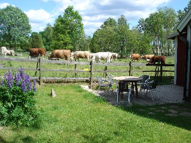 Maison de vacances �/en/au Hultsfred (Smaland)ou appartement ou maison de vacances