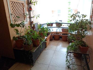 Appartement de vacances �/en/au Agadir (Agadir)ou appartement ou maison de vacances