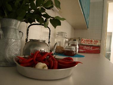 Maison de vacances /en/au NICOSIA (Nicosia)ou appartement ou maison de vacances