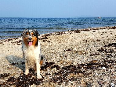 Appartement de vacances �/en/au Sch�nberg (Ostsee-Festland)ou appartement ou maison de vacances