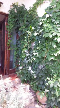Maison de vacances /en/au Clahonda (Mlaga)ou appartement ou maison de vacances