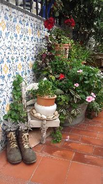 Chambre avec petit djeuner /en/au Vlez Mlaga (Mlaga)ou appartement ou maison de vacances