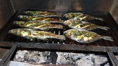 Villa /en/au Rakalj (Istarska)ou appartement ou maison de vacances