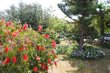 Appartement de vacances /en/au Kalamaki - Kato Galatas (Chania)ou appartement ou maison de vacances