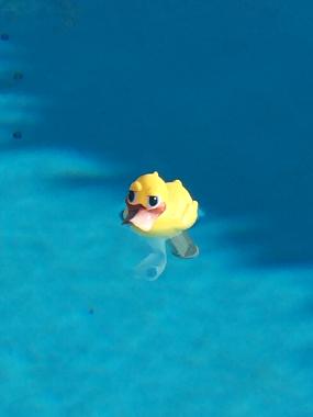 Villa �/en/au Lorgues (Var)ou appartement ou maison de vacances