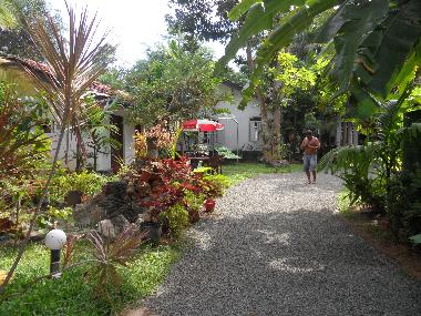 Chambre avec petit d�jeuner �/en/au Thiranagama (Galle)ou appartement ou maison de vacances