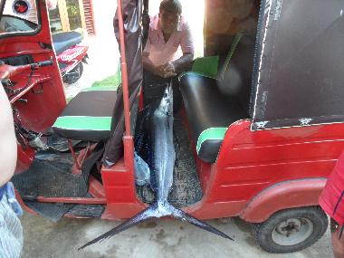 Chambre avec petit d�jeuner �/en/au Thiranagama (Galle)ou appartement ou maison de vacances