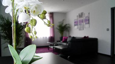 Appartement de vacances /en/au Lotte / Osnabrck (Osnabrcker Land)ou appartement ou maison de vacances