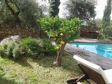 Maison de vacances /en/au Calenzana (Haute-Corse)ou appartement ou maison de vacances