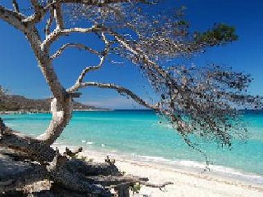 Maison de vacances /en/au Calenzana (Haute-Corse)ou appartement ou maison de vacances