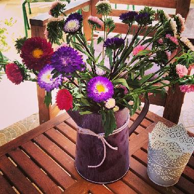 Chambre avec petit djeuner /en/au Bol (Splitsko-Dalmatinska)ou appartement ou maison de vacances