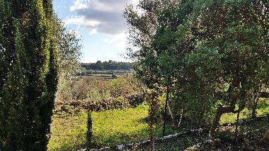 Maison de vacances �/en/au Muro (Mallorca)ou appartement ou maison de vacances