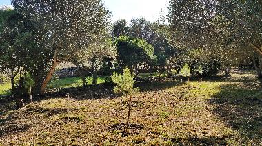 Maison de vacances �/en/au Muro (Mallorca)ou appartement ou maison de vacances