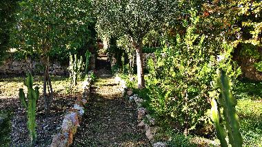 Maison de vacances �/en/au Muro (Mallorca)ou appartement ou maison de vacances