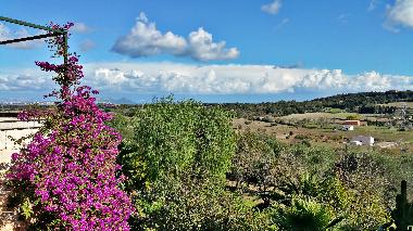 Maison de vacances �/en/au Muro (Mallorca)ou appartement ou maison de vacances