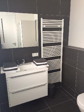Appartement de vacances /en/au Vrouwenpolder (Zeeland)ou appartement ou maison de vacances
