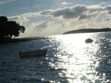 Appartement de vacances /en/au Fazana (Istarska)ou appartement ou maison de vacances