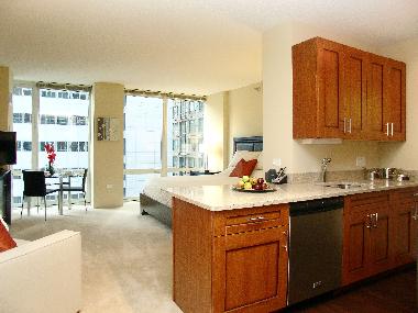 Appartement de vacances /en/au Chicago (Illinois)ou appartement ou maison de vacances