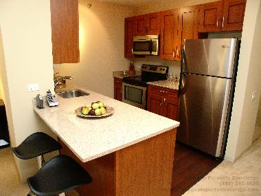 Appartement de vacances /en/au Chicago (Illinois)ou appartement ou maison de vacances